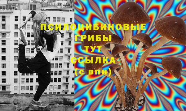 spice Алексин