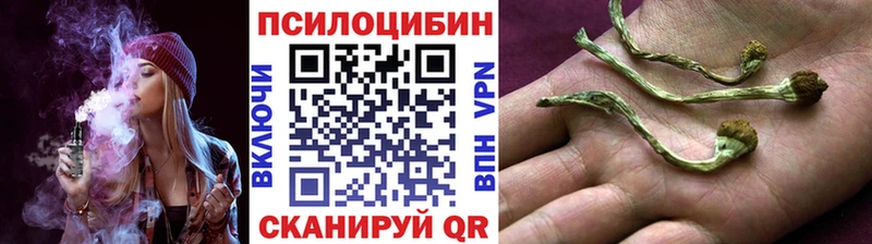 Псилоцибиновые грибы GOLDEN TEACHER Талица